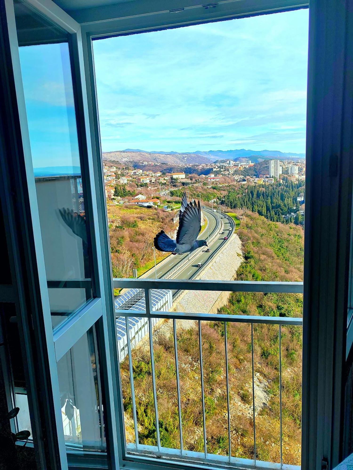 Under The Sky Apartment Rijeka Exterior foto